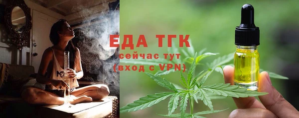 гашик Гусев