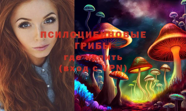 гашик Гусев