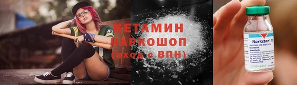 гашик Гусев