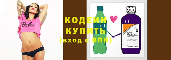 гашик Гусев