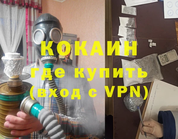 гашик Гусев