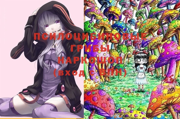 гашик Гусев