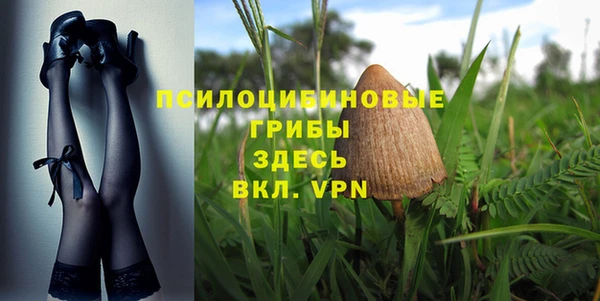 Альфа ПВП Гусиноозёрск