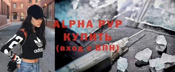 гашик Гусев