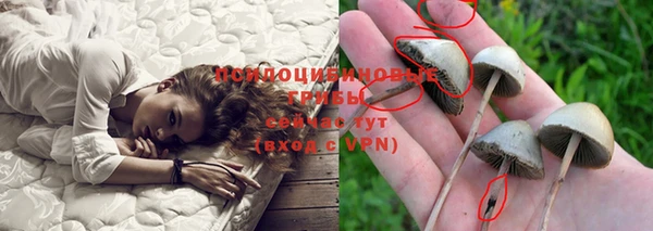 Альфа ПВП Гусиноозёрск